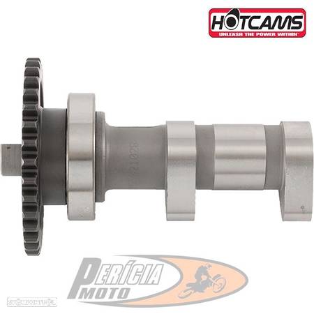 CAM de Escape Suzuki LT-R 450 - 1