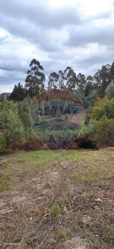 Terreno  para venda - Grande imagem: 4/7