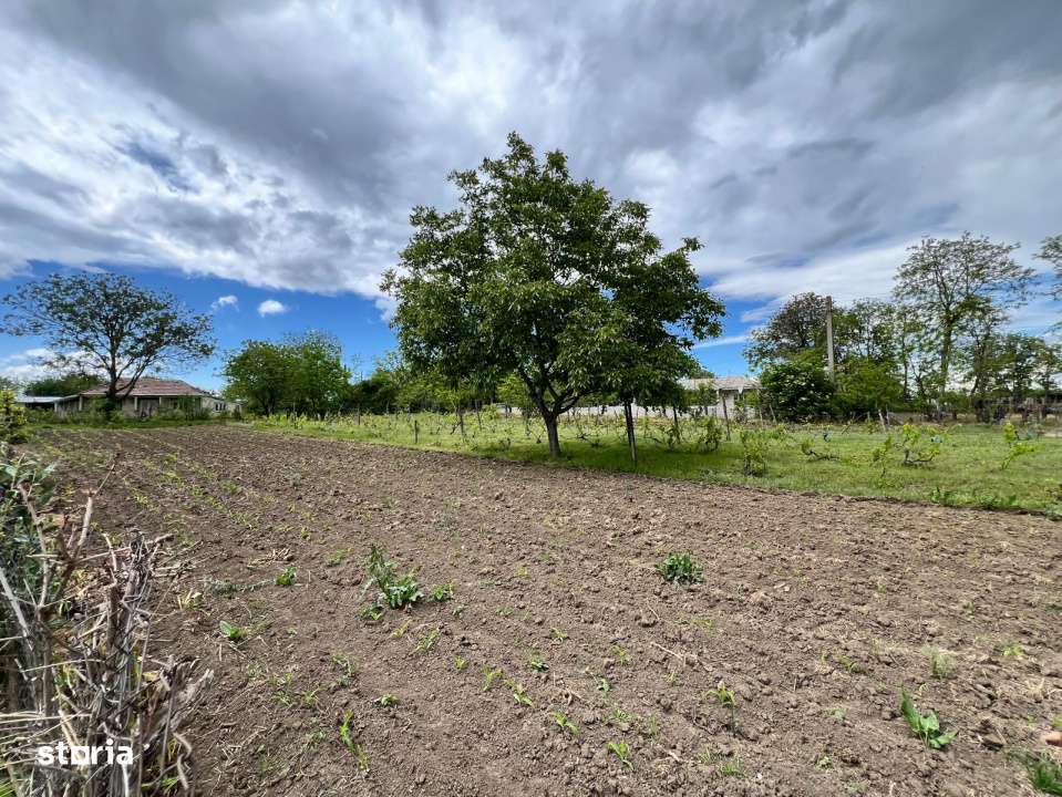 Casa + teren 4430 mp, vie si pomi fructiferi, 22 km de Tecuci-6