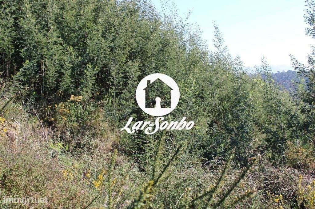 Lote de Terreno para construção de moradia individual - Grande imagem: 4/23