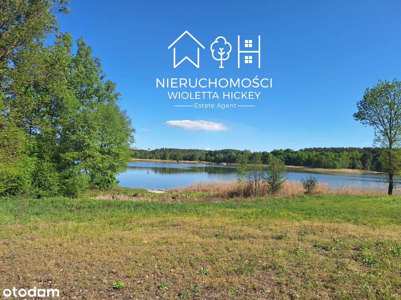 Działka 5.400 m2  nad jeziorem Ciechomickim, Mazowsze. - Pełny obrazek: 4/12