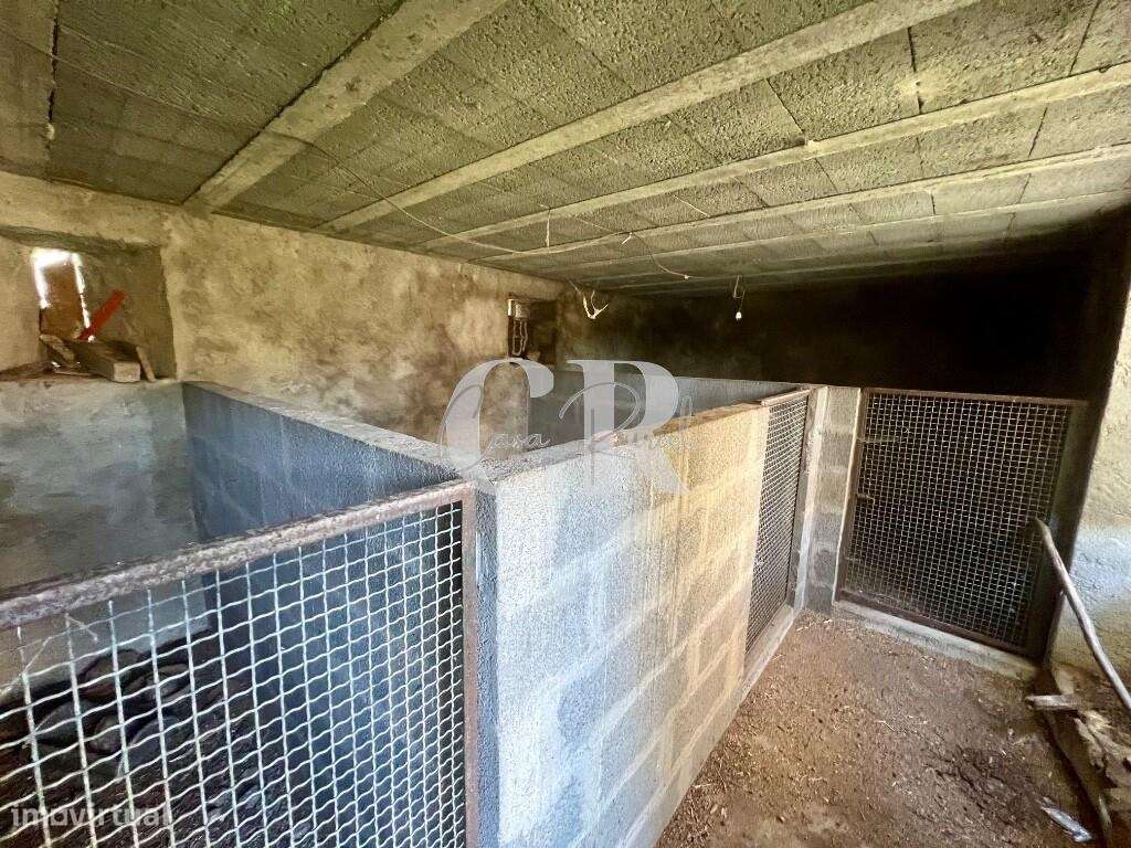 Oportunidade Única em Figueiró dos Vinhos – Moradia com terreno, furo - Grande imagem: 5/53