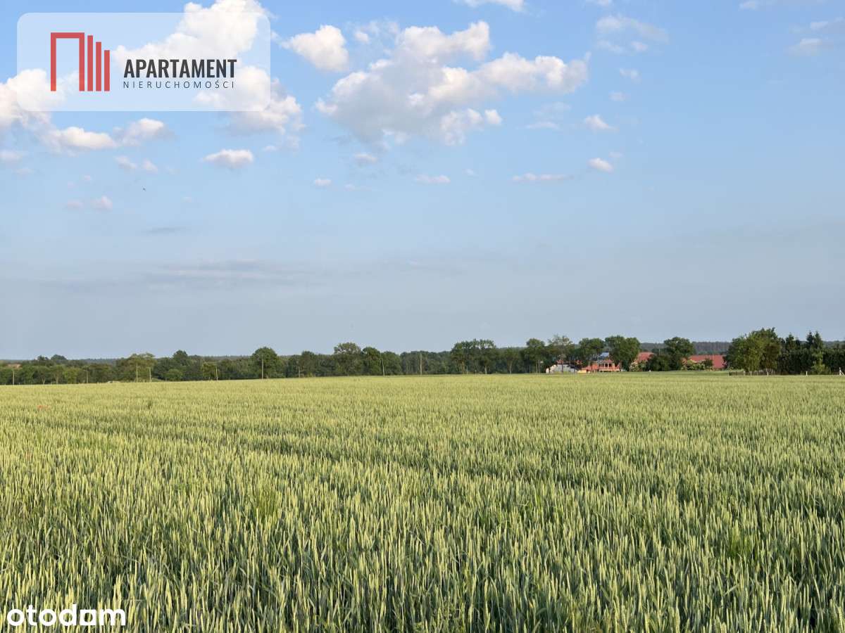 Piękne Działki Budowlane pod Bolesławcem! Kruszyn - Pełny obrazek: 4/7