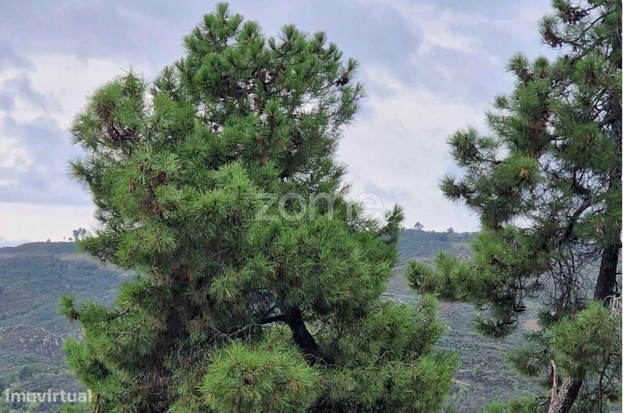 Terreno Urbanizável para Venda em Pegarinhos , Alijo - Grande imagem: 3/7