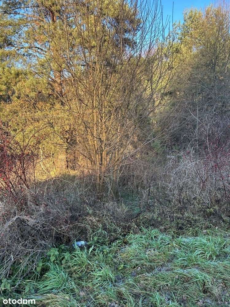 Działki z rzeką, od 50 do 300 m od zalewu bliżyńskiego - Pełny obrazek: 2/17