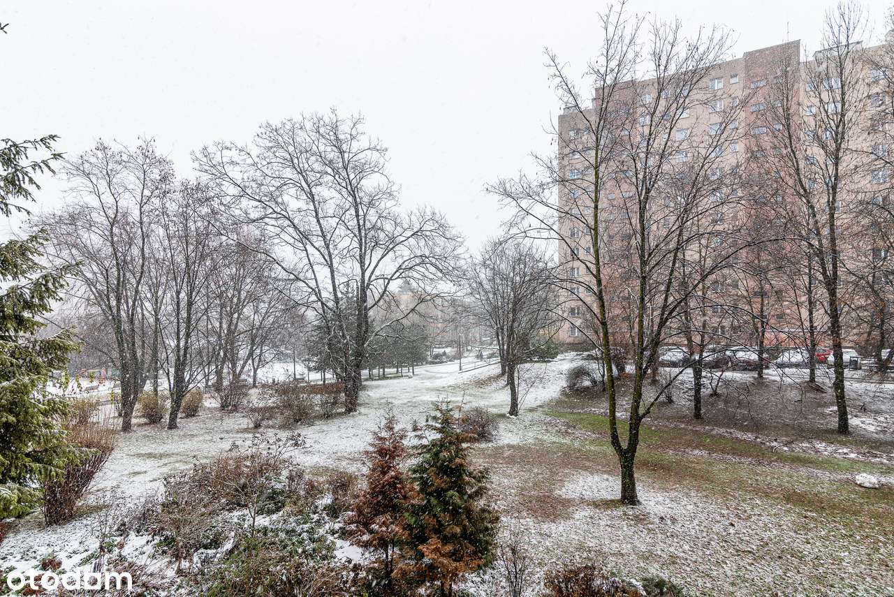 3 pokoje I osobna kuchnia I loggia I piwnica| tramwaj-12