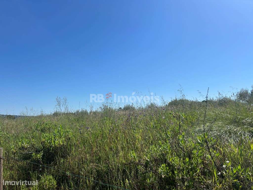 Terreno vedado com 8.240m² em malha Urbana - Tomar - Grande imagem: 5/12