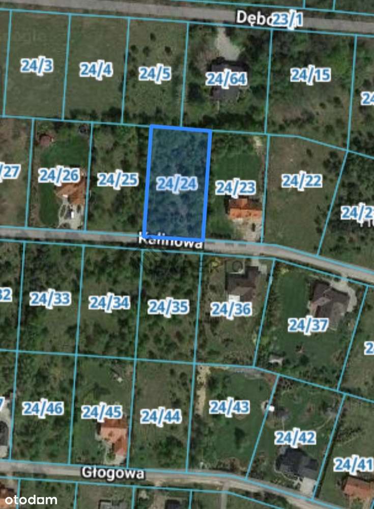 Działka otulona lasem Murowana Goślina Dębogóra - Pełny obrazek: 5/5