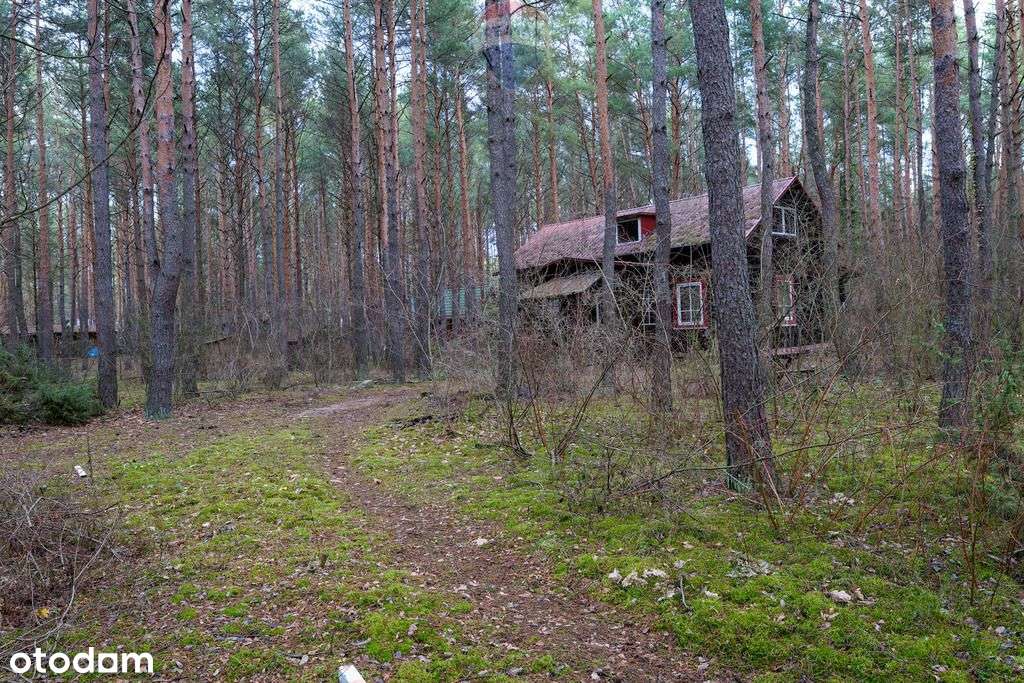 Sprzedaż/działka z Mpzp/1900 m2/Łosie- Radzymin - Pełny obrazek: 2/16