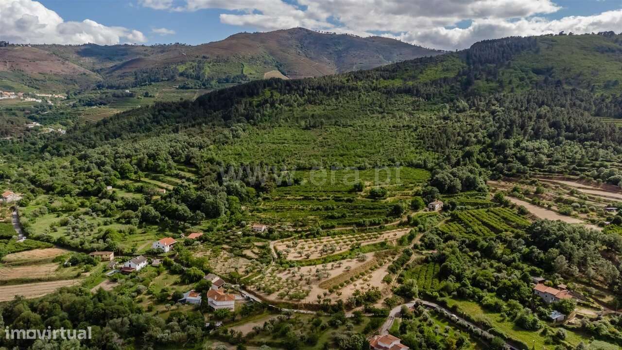 Terreno / Fundão, Fundão-16