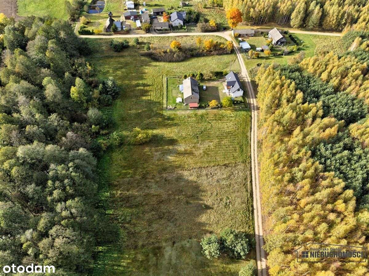 Działka pod lasem na raty - Piaseczno-19