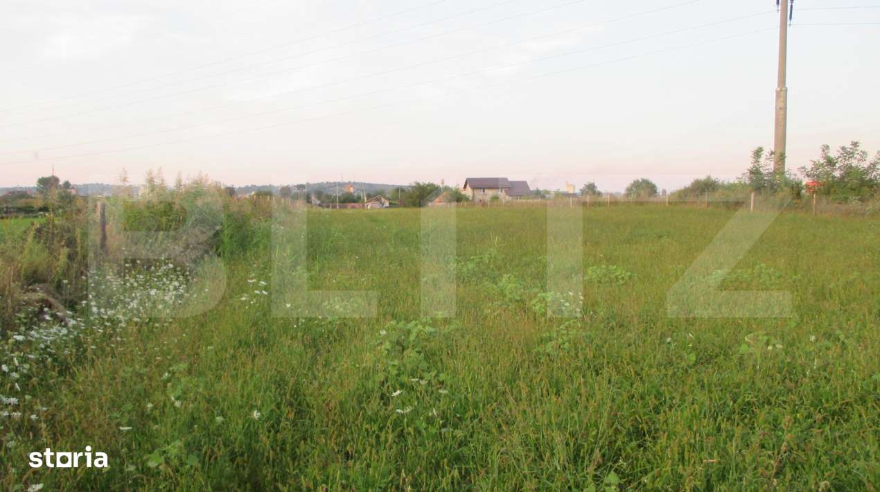 Teren intravilan 6000 mp cu 2 fronturi, parcelabil - Imagine principală: 4/8