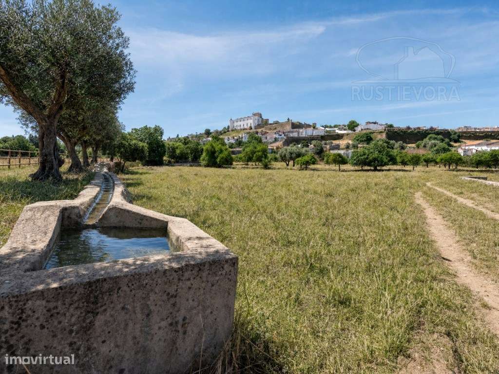 Quinta de São Miguel | Um Projeto Único junto ao Castelo de Estremo...-3