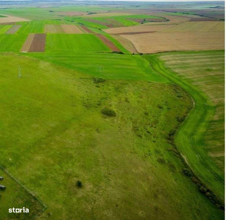Teren agricol 5ha Giarmata langa Antena Radar - Imagine principală: 5/5