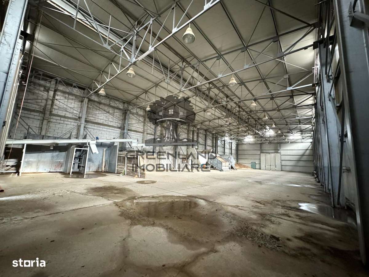 HALA INDUSTRIALA 2000mp, TRAF 1000KWA, la DN, zona Bradu - Tulghes - Imagine principală: 4/9