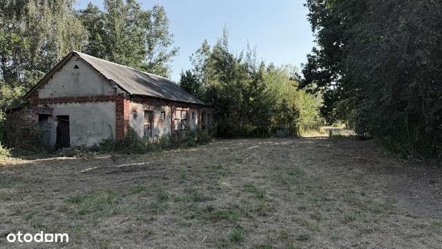 Super Okazja - Działka budowlana 6045 m² w spokojnej okolicy - Pełny obrazek: 4/8