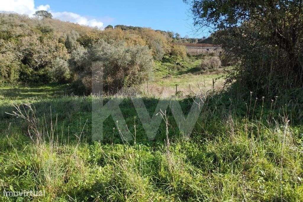 8.680 m2 TERRENO EM PORTO MÓS  . VENDE-SE - Grande imagem: 5/17
