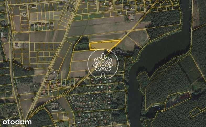 działka pieczyska, lipkusz - Pełny obrazek: 4/5