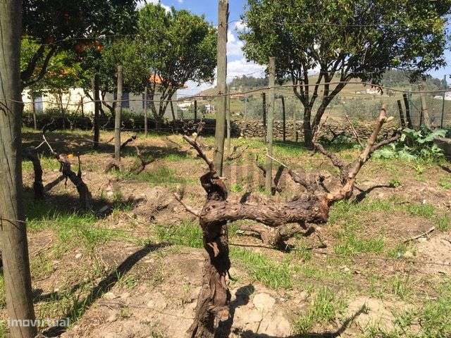 Casa com Terreno em Vilarinho de Cotas, Douro-29
