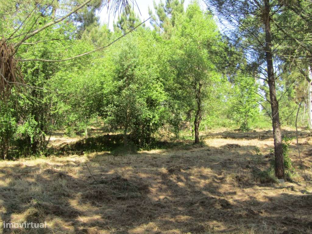 P26-238 Casal da Loba - Terreno Urbanizável no Centro de Portugal e...-25