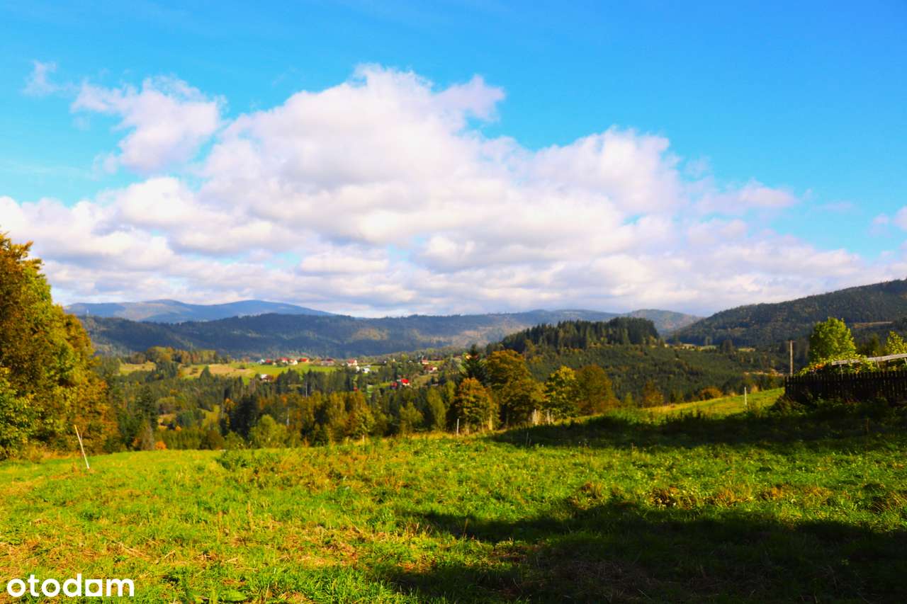 Dz. o pow. 1287m2 lub 2431m2 lub 2577m2, a może o pow. 6295m2 - Pełny obrazek: 4/5