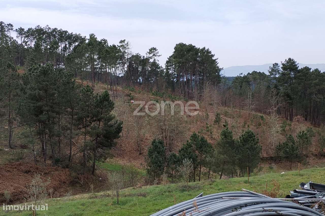 Terreno agricola e florestal. - Grande imagem: 2/34