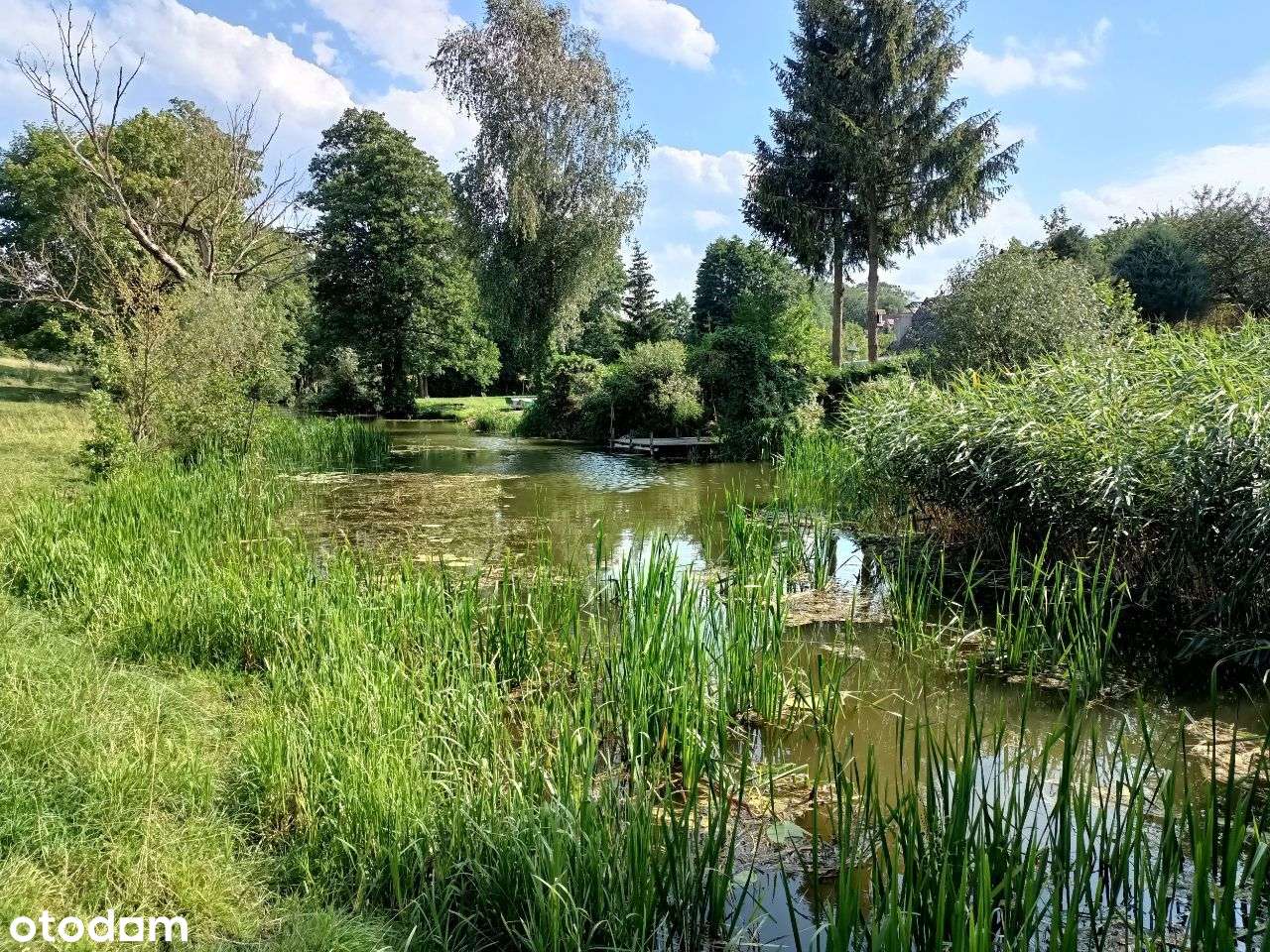 Działka z dostępem do linii jeziora - Pełny obrazek: 5/6
