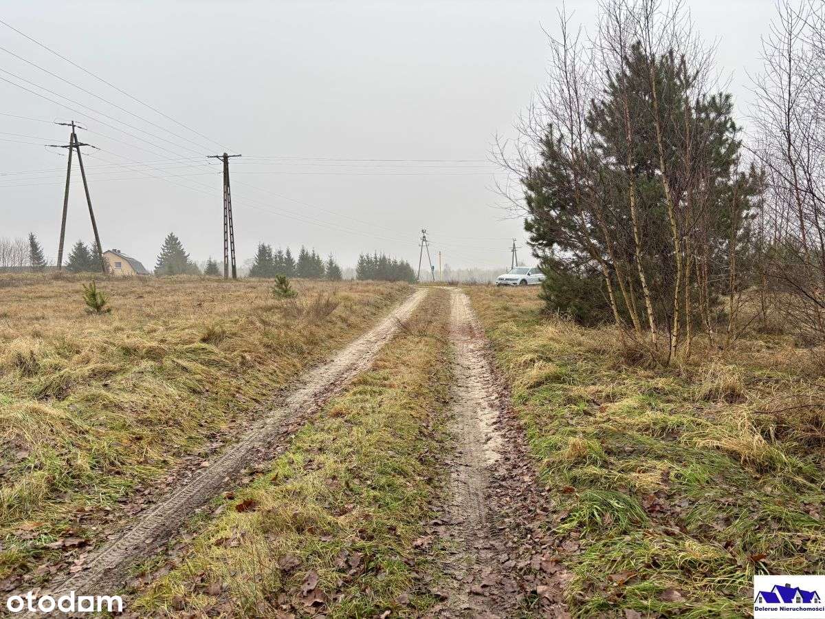 Działki budowlane gmina Czersk - Pełny obrazek: 3/15