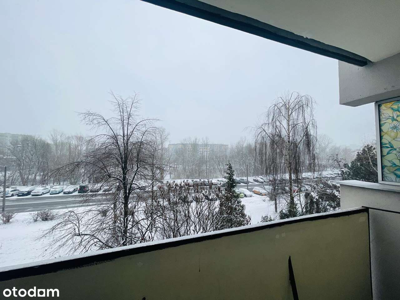 Bezpośrednio 2‑pokojowe z balkonem, komórką lokatorską i piwnicą-5