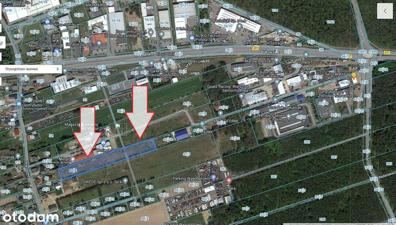 WYSOGOTOWO - Nowa hala magazynowo - produkcyjna - Pełny obrazek: 4/7