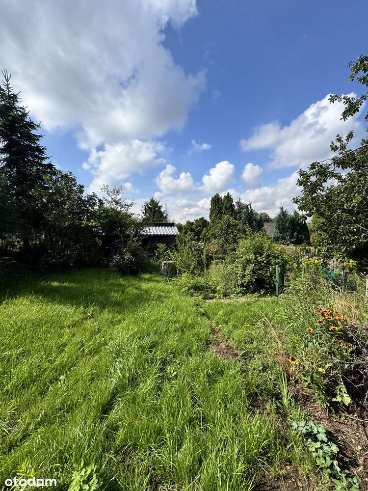 Ogródek działkowy na Górce Gołonoskiej, tylko u Nas!