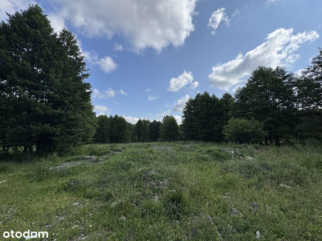 Przy bocznej ulicy, media na działce, zadrzewienia-0