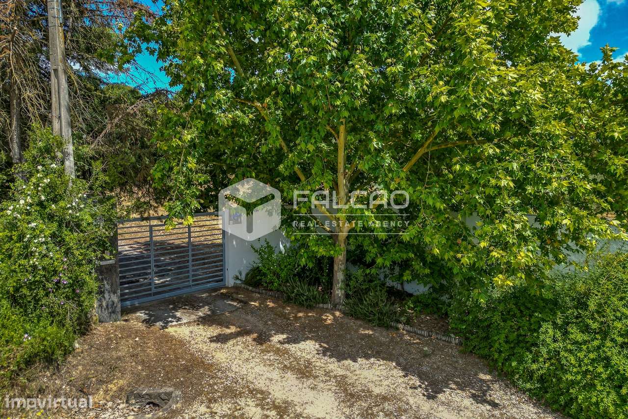Moradia T5 Venda em Moçarria,Santarém-5