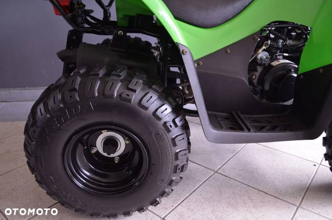 Arctic Cat Inny - 14