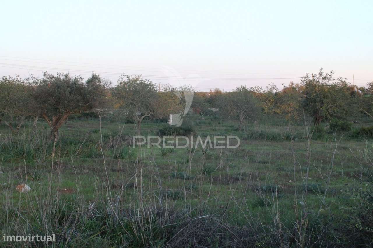 Vende-se terreno rústico em Paderne (Albufeira) - Grande imagem: 2/3
