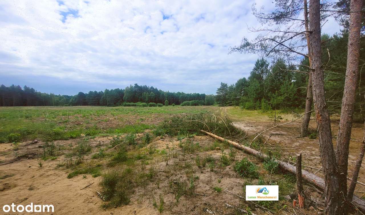 Do sprzedaży duża, atrakcyjna działka o pow 1,9056 HA w Rybakowie - Pełny obrazek: 5/14