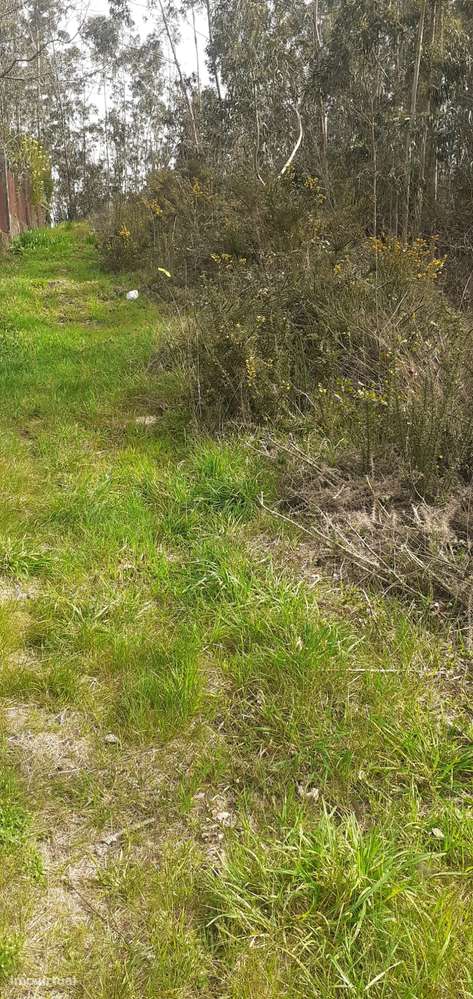 Terreno urbanizável em Sanguedo, Santa Maria da feira-10