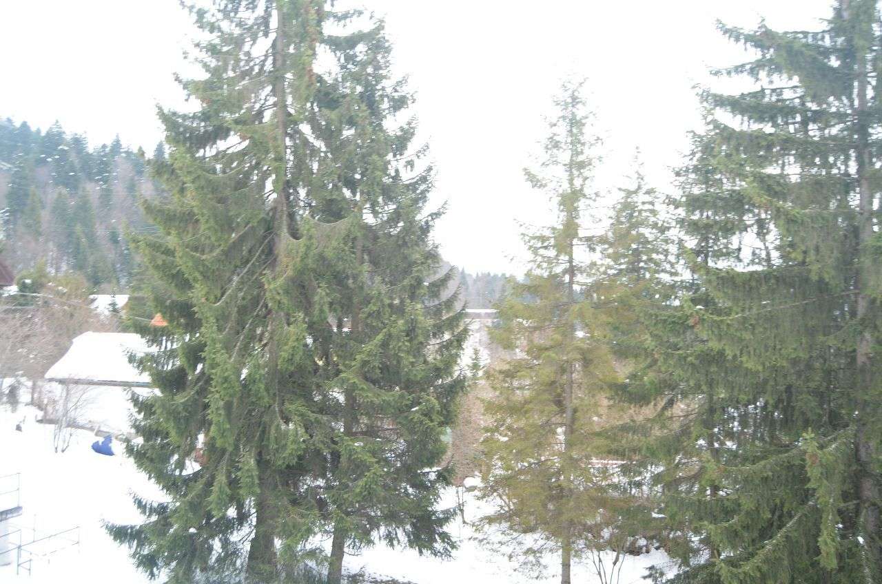 Apartament 3 camere cu balcon și terasă - Imagine principală: 4/16