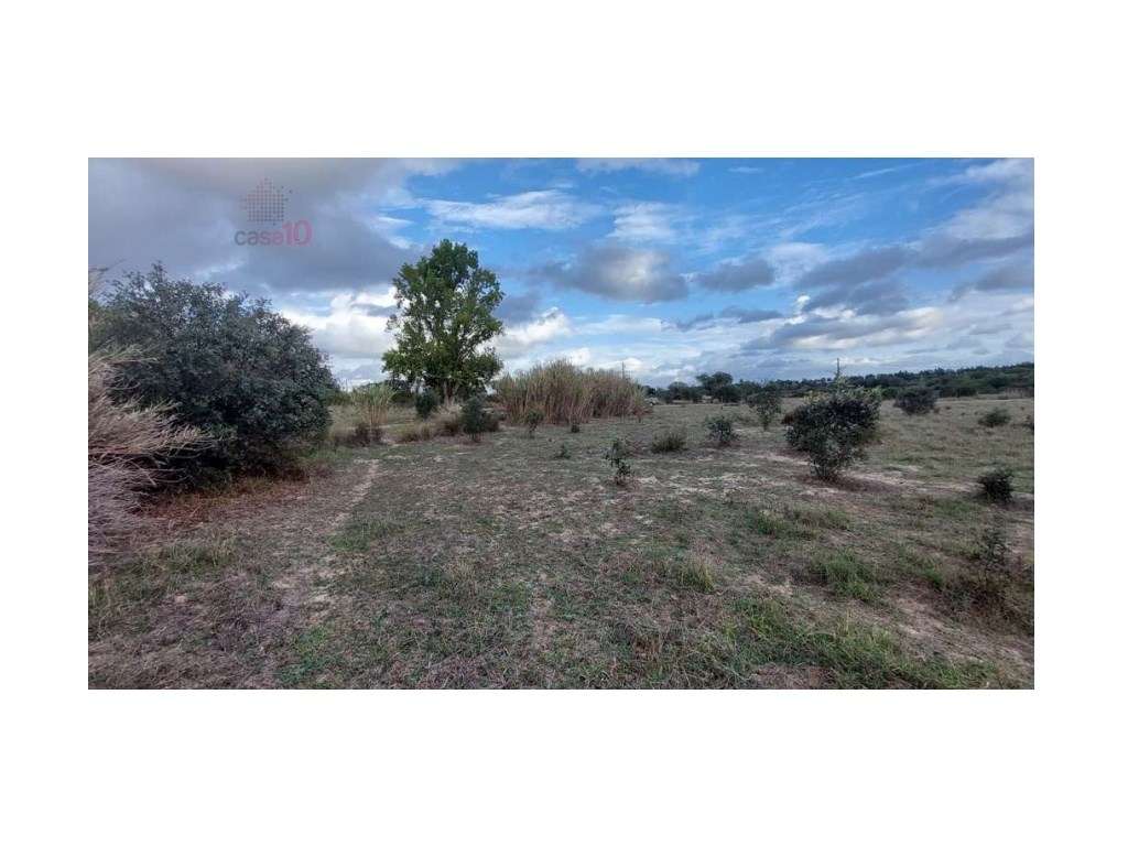 Vende-se Quintinha em Évora - Grande imagem: 5/6