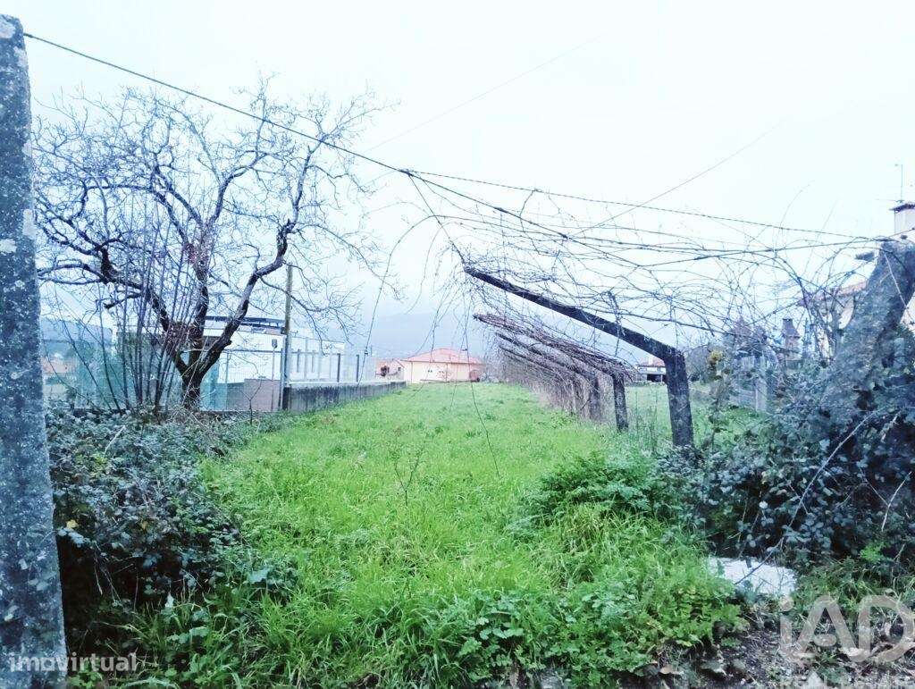 Terreno para construção em Geraz do Lima e Deão - Grande imagem: 2/2