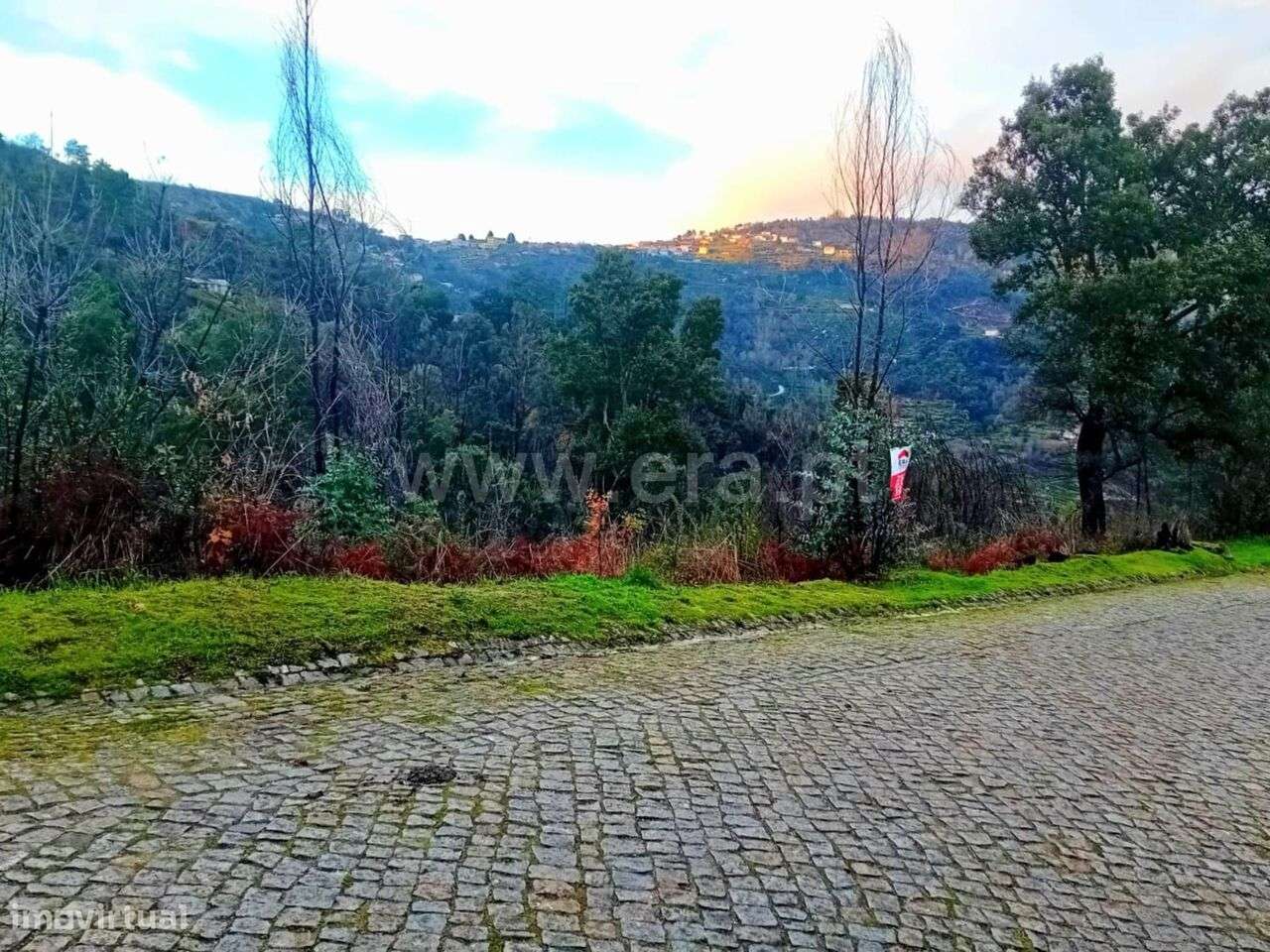 Terreno Rústico / Baião, Ancede e Ribadouro - Grande imagem: 4/5