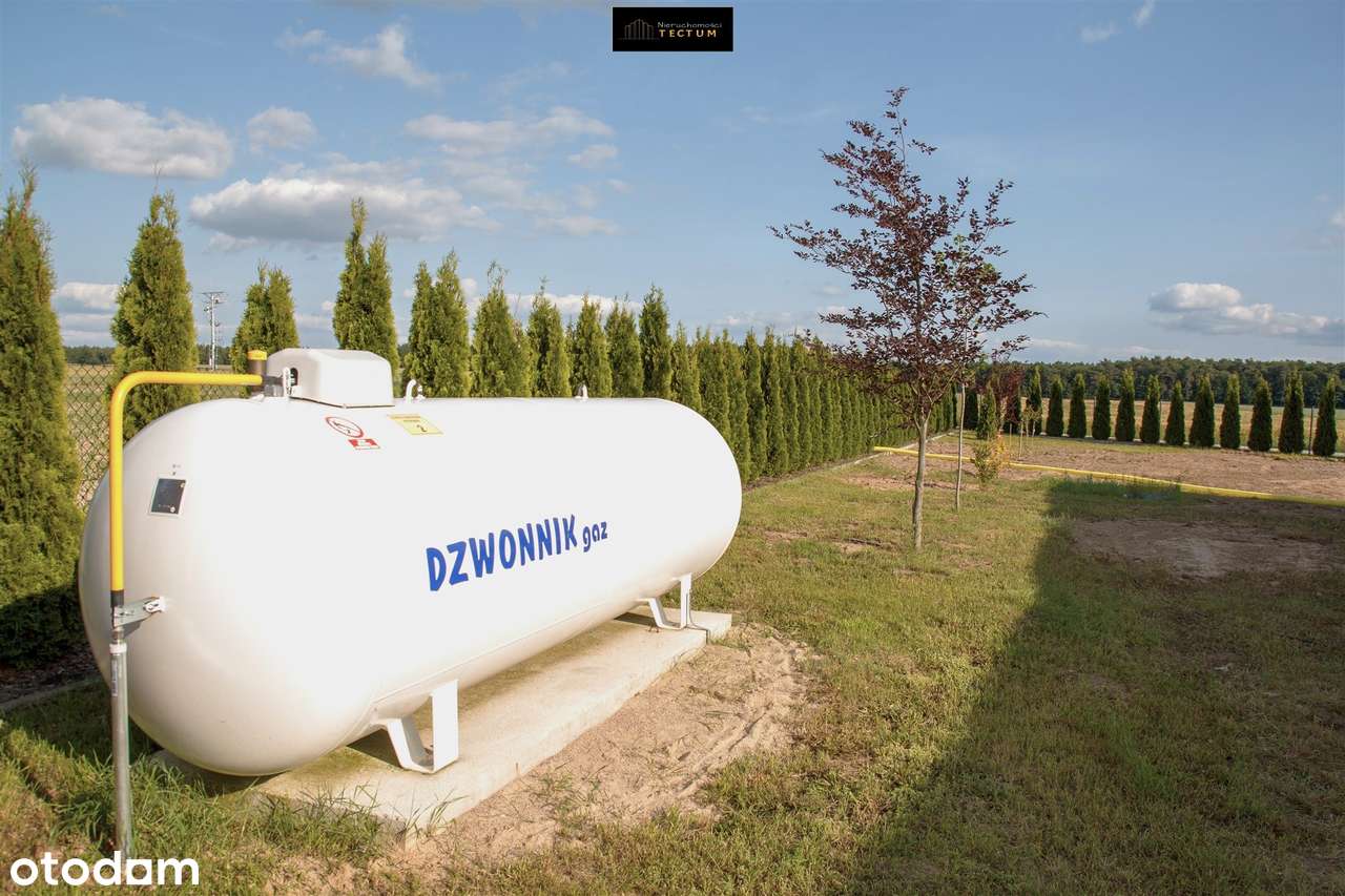 Nowy dom pod lasem gm. Wągrowiec, Przysieka-12