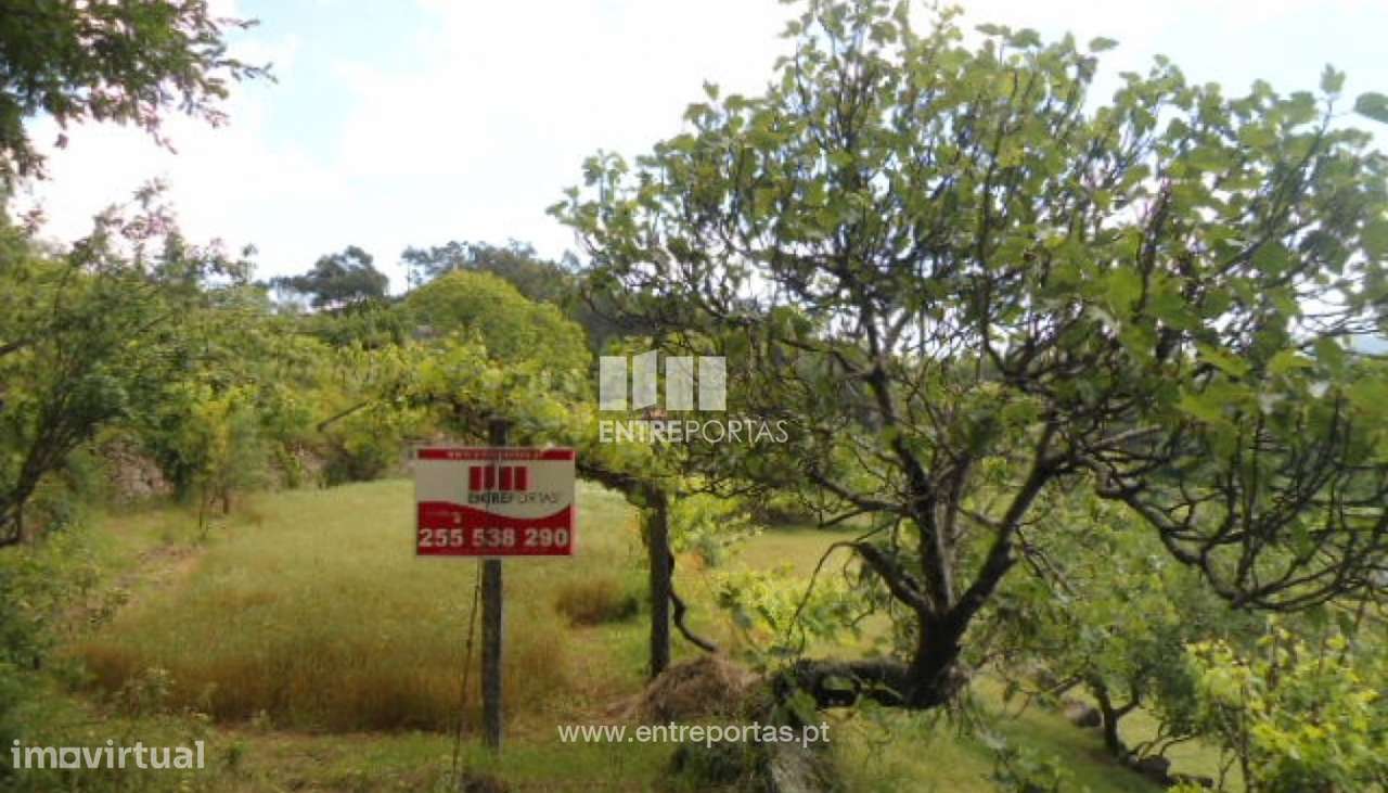 Venda Terreno, Penha Longa, Marco de Canaveses - Grande imagem: 4/21