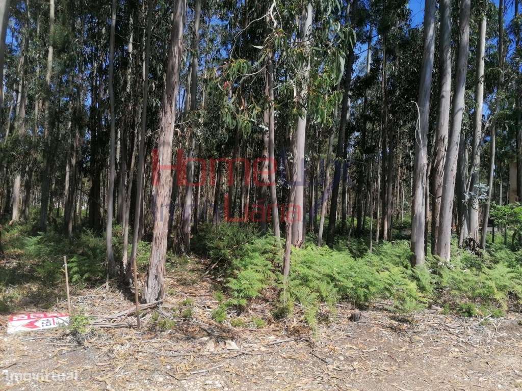 Terreno - Águeda - Grande imagem: 2/3