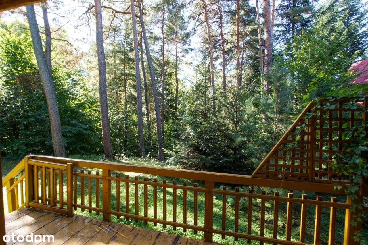 Wiśniowa dom letniskowy w górach, las,strumyk, 53a-10