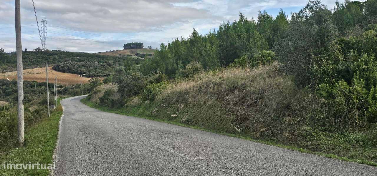 Terreno em Loures: 14.240m² com Vista Campestre e Frutais - Grande imagem: 5/7