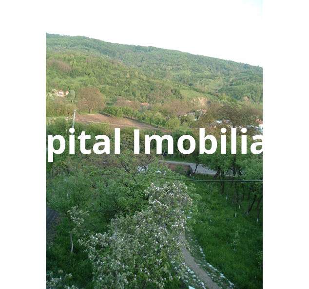 Vanzare sau Schimb! Central Drajna de Jos 5000 mp - Imagine principală: 4/10