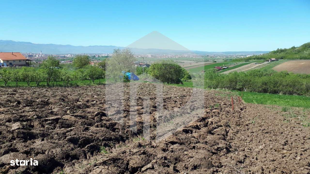 Teren de Vanzare - Gusterita - 5100mp - Intravilan - 0% Comision - Imagine principală: 3/7