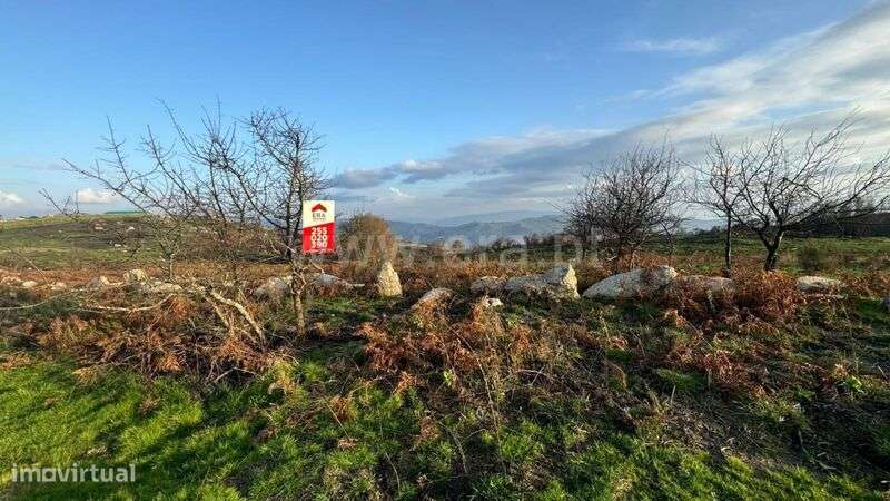 Terreno / Baião, Campelo e Ovil - Grande imagem: 3/8
