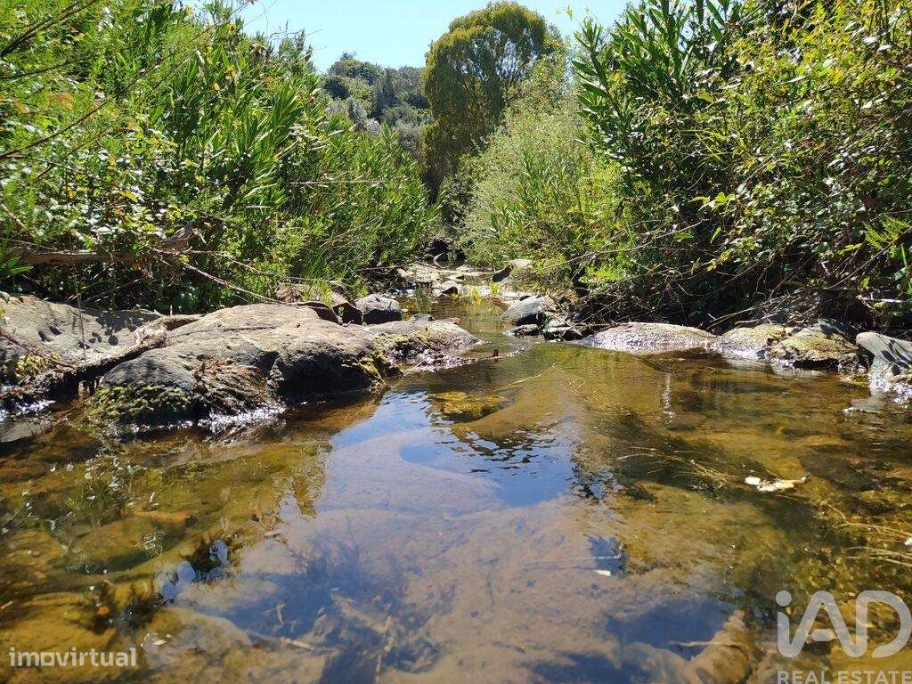 Terreno para construção T3 em Mexilhoeira Grande de 400,00 m2 - Grande imagem: 4/30
